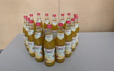 Ein sprudelnder Erfolg: Das Marketing-Projekt „HSG-Sommerschorlen-Wettbewerb“